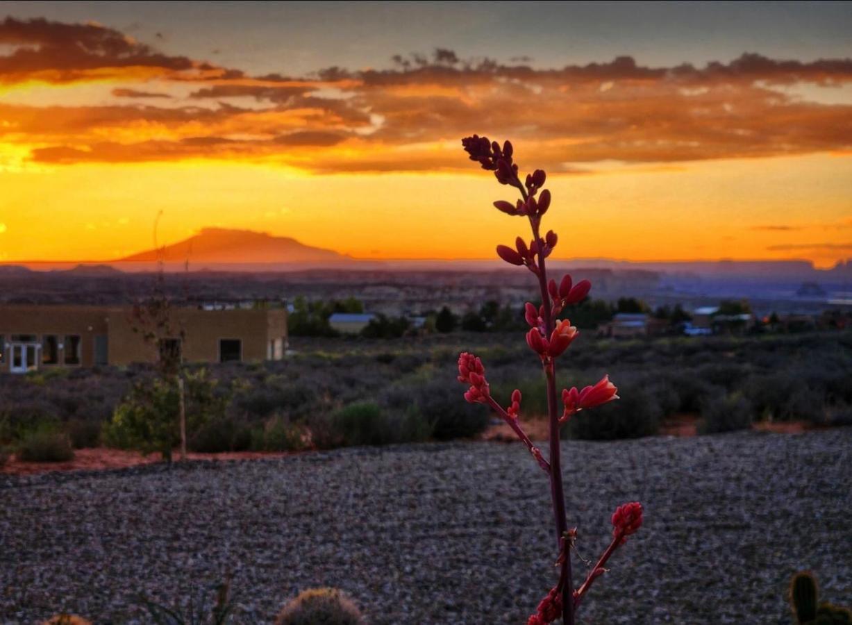 ביג ווטר Page Arizona Border Town- Grand Serenity Room With Mesa Views מראה חיצוני תמונה